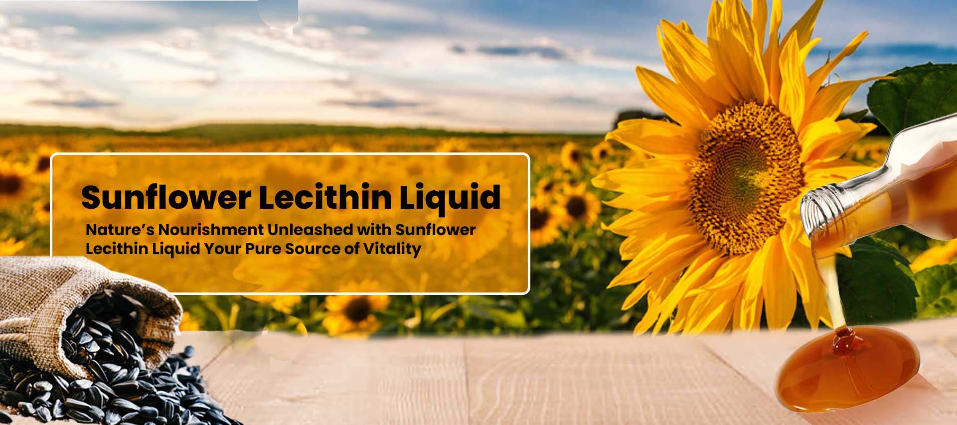 Sunflower Lecithin Liquid in Amravati