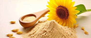 Sunflower Lecithin Powder Natures Answer to Better Health and Wellness