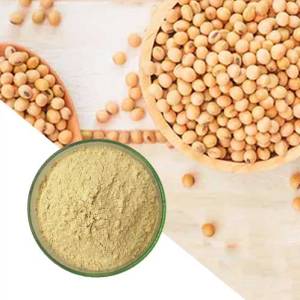 NON GMO Soya Lecithin Granules Manufacturers in Amravati