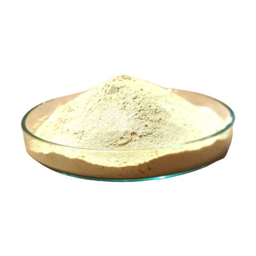 NON GMO Soya Lecithin Powder Manufacturers in Amravati