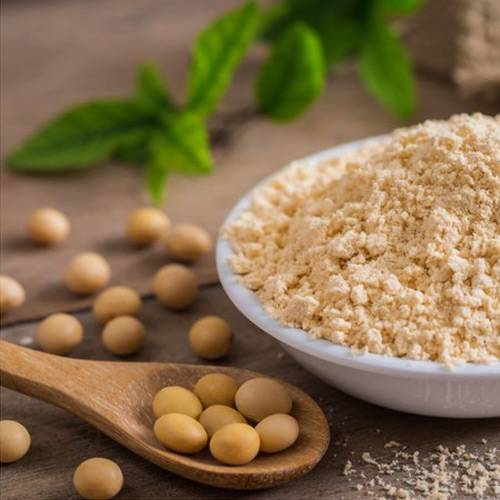 Soya Lecithin Manufacturers in Amravati