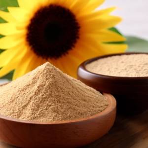 Sunflower Lecithin Powder Manufacturers in Amravati