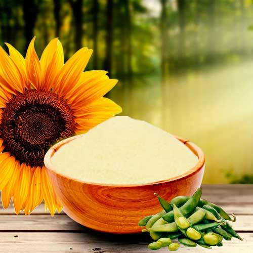 Buy from the Top Soya and Sunflower Lecithin Manufacturers in Amravati