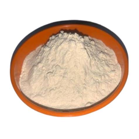 Phosphatidylserine Powder Grade 20 Manufacturers in Amravati