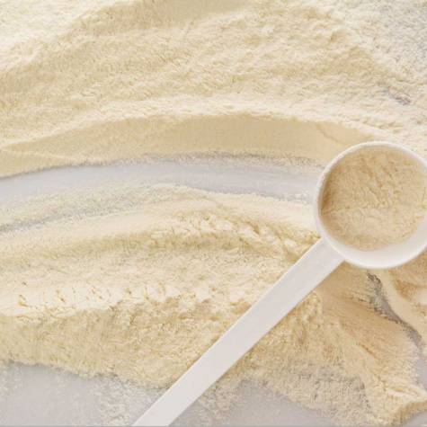 Soy Protein Isolate Manufacturers in Amravati