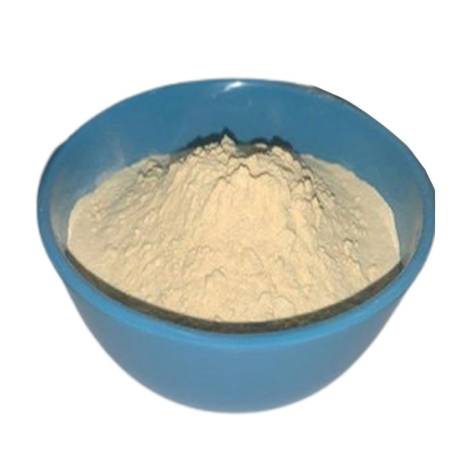 Sunflower Lecithin Powder Manufacturers in Amravati